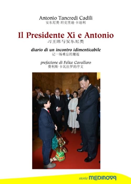 Феличе Кавалларо и президент XI и Антонио. Дневник оон инко (Taschenbuch)