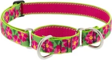 Lupine Martingale Dog Collar 1" Wide Petunias Adjusts from 15" to 22"