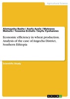 Alemayehu Bashe (U. A.) | Economic Efficiency In Wheat Production. Analysis...