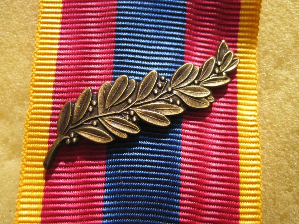Agrafe Palme Bronze pour citation Médaille Défense Nationale - Photo 1/1
