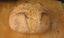 SAN FRANCISCO SOURDOUGH bread YEAST TANGY SOUR STARTER flour baking "sally" NEW
