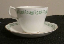 English Castle Staffordshire Tea Cup and Saucer 