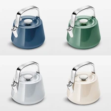 Caraway Stovetop Whistling Tea Kettle - FULL COLOR