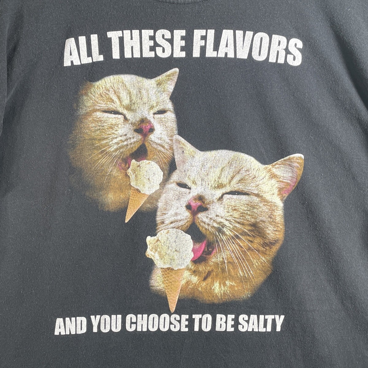 Walnut & 39th T-Shirt Men’s 3XL Cat Ice Cream All These Flavors You Choose  Salty