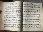 The Family Music Book Hardcover 1914  — photo 9