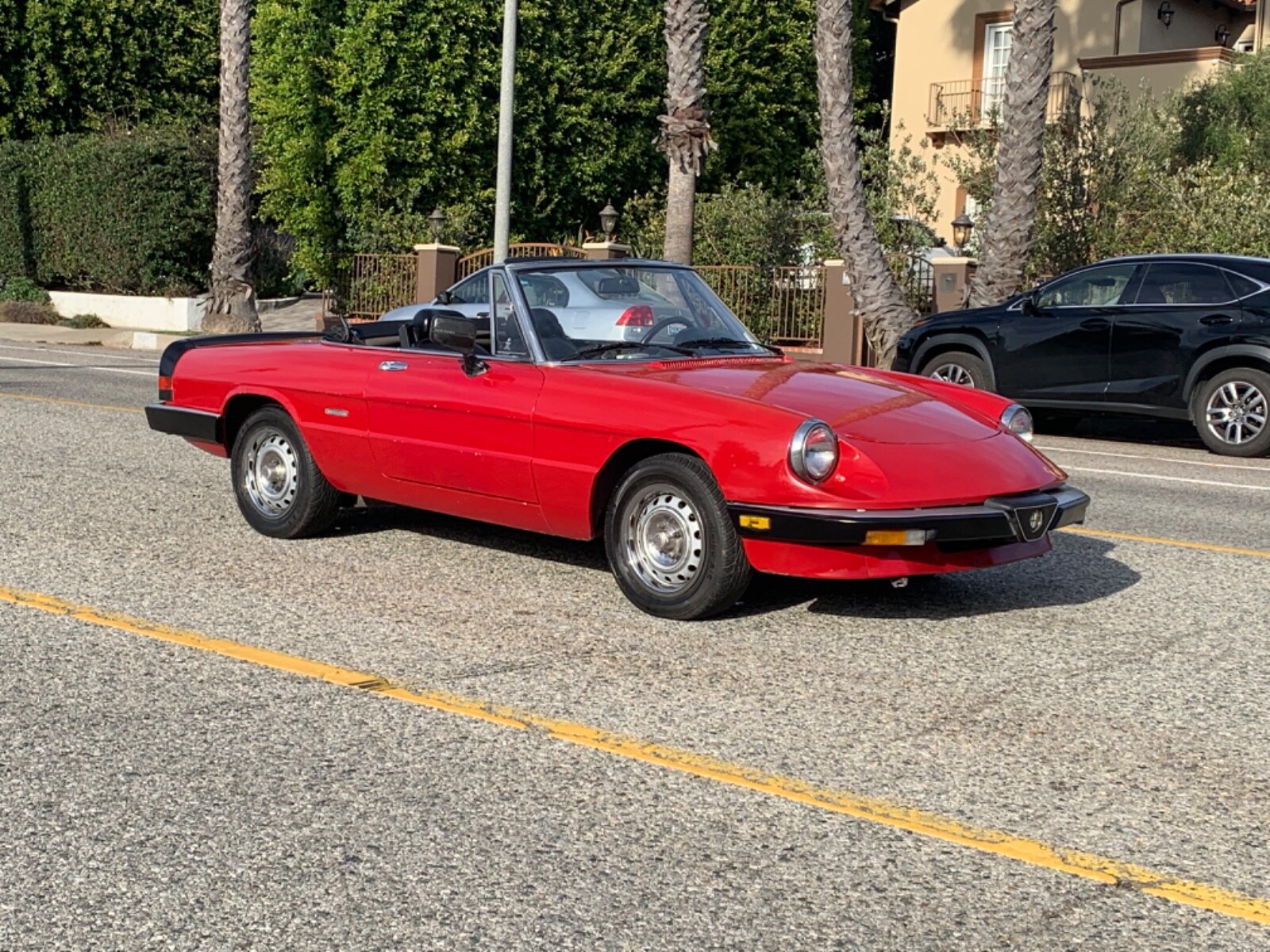 1986 Alfa Romeo Spider  1986 Alfa romeo spider  Californian classic
