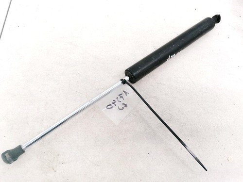 Renault Vel Satis 2003 Trunk Luggage Shock Lift Cylinder, Gas Pres #1446341-41