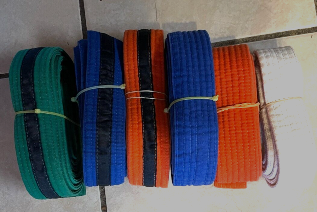 Lot 6 MARTIAL ARTS Stripes BELTS Karate Taekwondo MULTIPLE COLORS 82