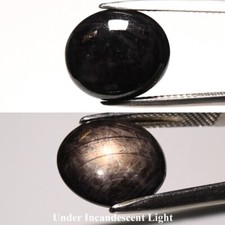    11.60ct Oval Cabochon Black 6 Ray Star Sapphire - Unheated Africa Gem