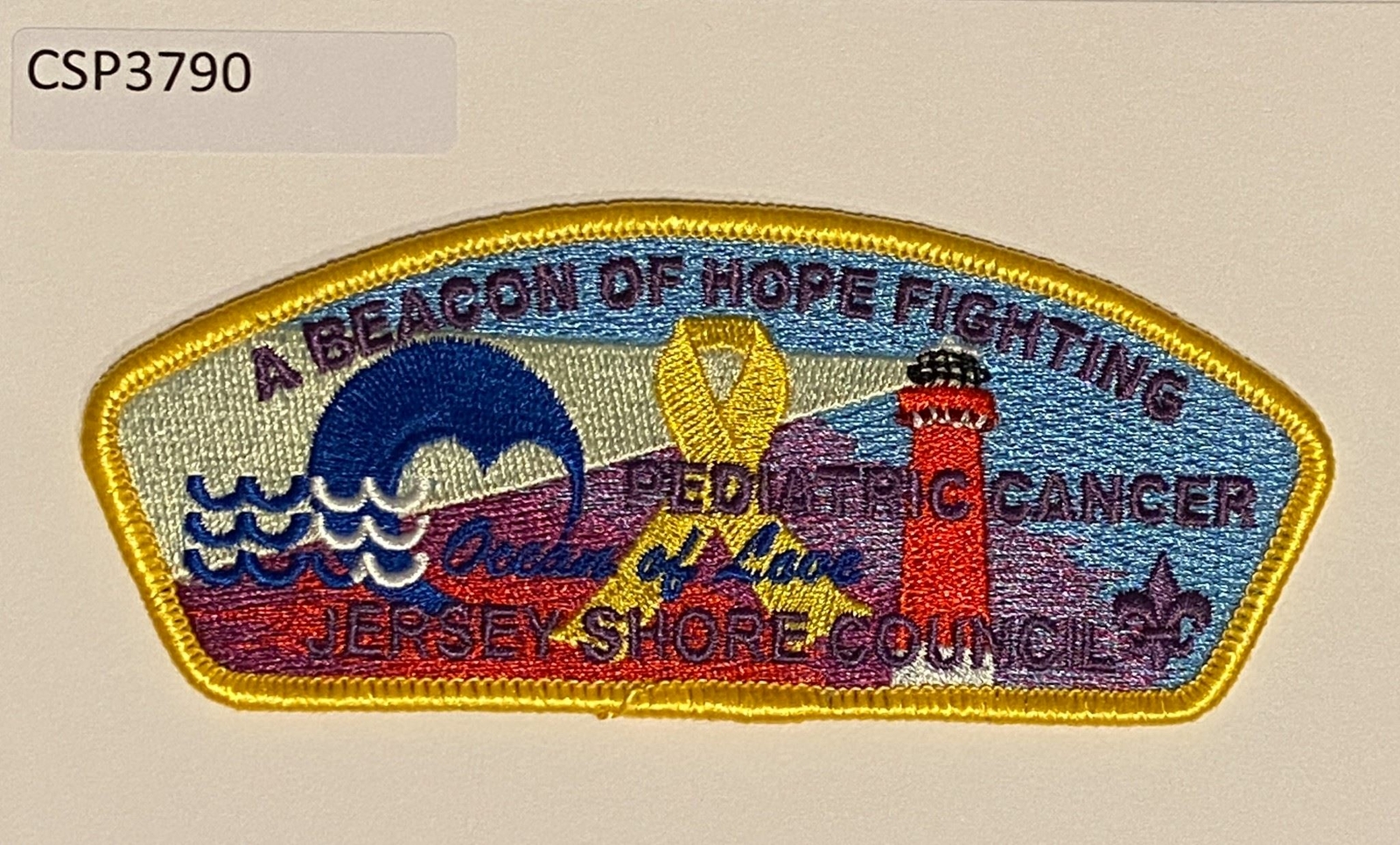 Cancer Scouting Patch Boy Scout Jersey Shore Council Pediatric Cancer CSP | eBay