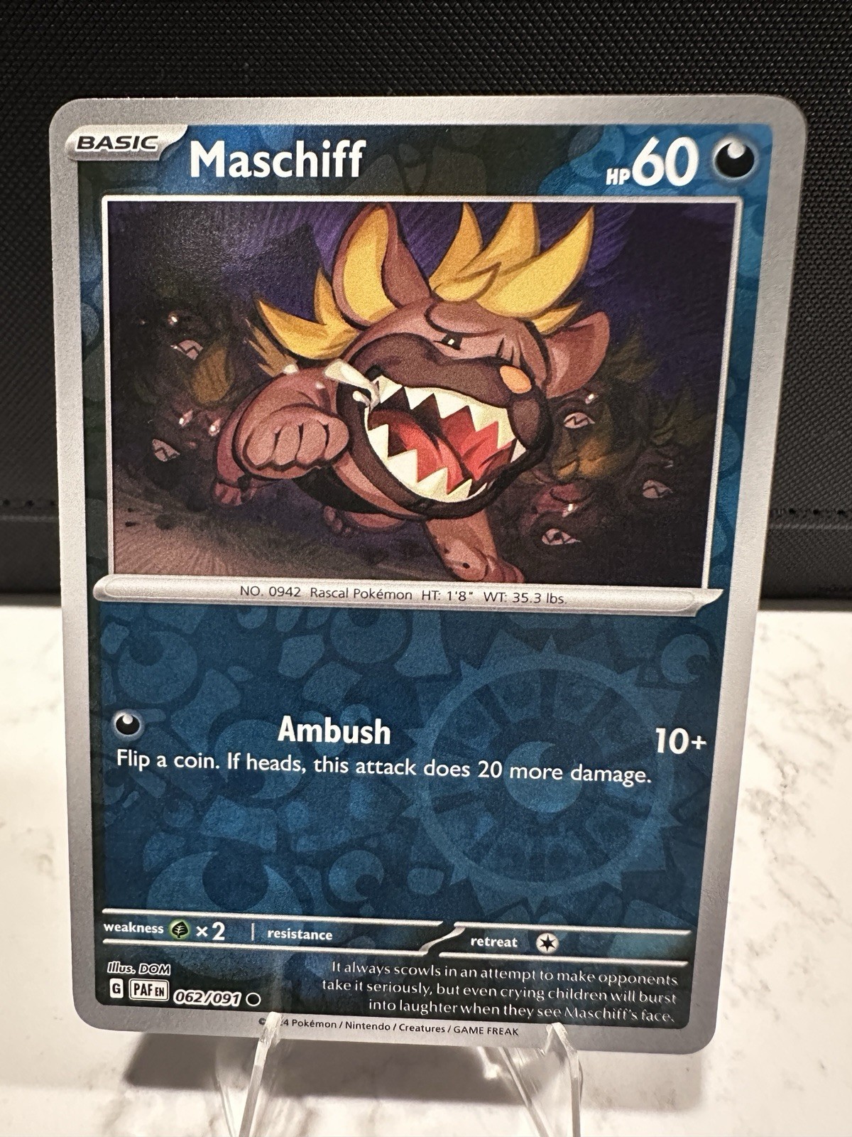 Maschiff 062/091 Reverse Holo Pokémon Sv: Paldean Fates Near Mint