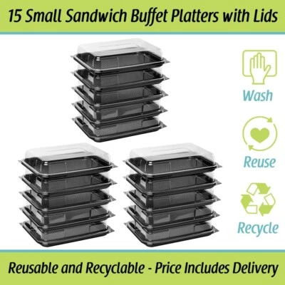 DELISUPPLIES Small Sandwich Platters Catering Cake Buffet Party Platter 15 x Trays with Lids