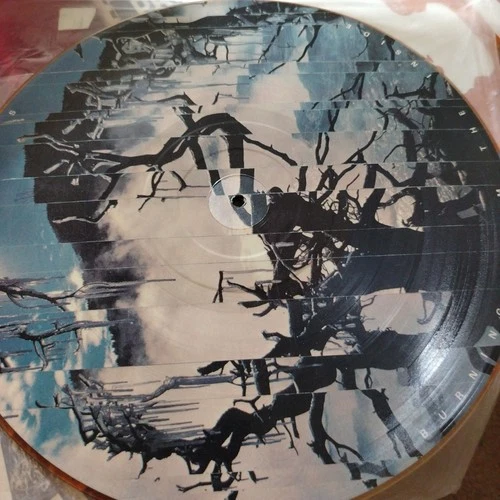 Bauhaus Burning From The Inside Picture Disc LP Vinyl  BEGA45 Rare