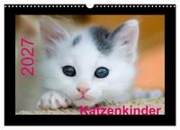 "Calendar 2027 · US Version · Kittens (Wall Calendar 2027 17\" × 12\" Landscape), C"