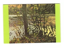 Lake Durant exhibited at the ADIRONDACK Museum Blue Mountain Lake NY postcard