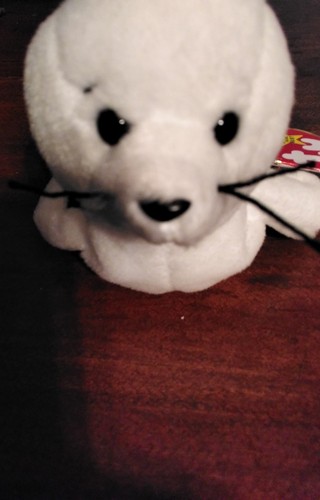 Ty Seamore SUPER RARE ERRORS TAG 1993 Beanie Baby - Picture 8 of 19