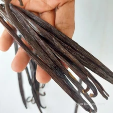 Organic Vanilla Beans Whole Grade A  Gourmet Mexican Vanilla Beans 15 Beans