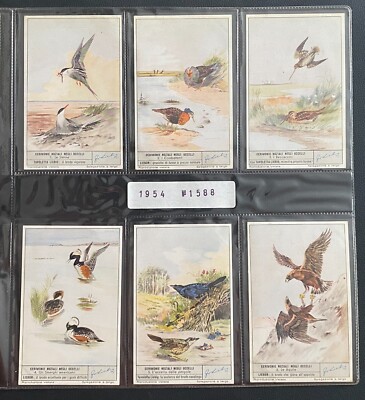 6 ITALIENISCHE CHROMOS NUMMER S1588 HOCHZEITSZEREMONIEN DER VÖGEL 1954