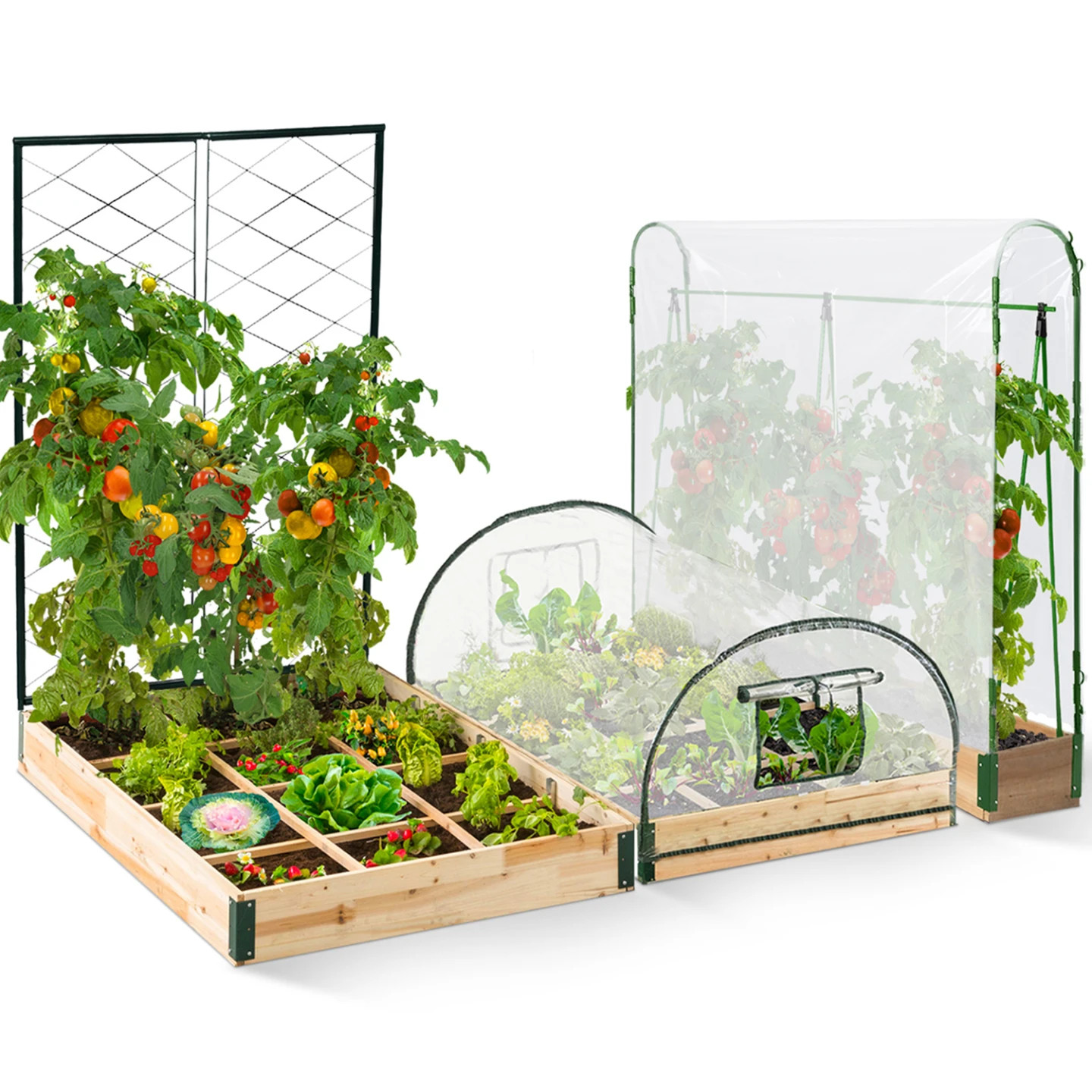Serre à tomates et potager 3 bacs pour réussir vos cultures sur balcon et jardin