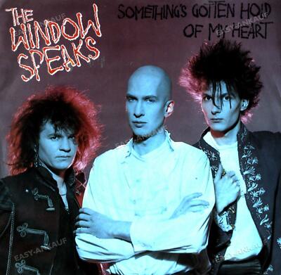 The Window Speaks - Something's Gotten Hold Of My Heart 7in (VG/VG) .