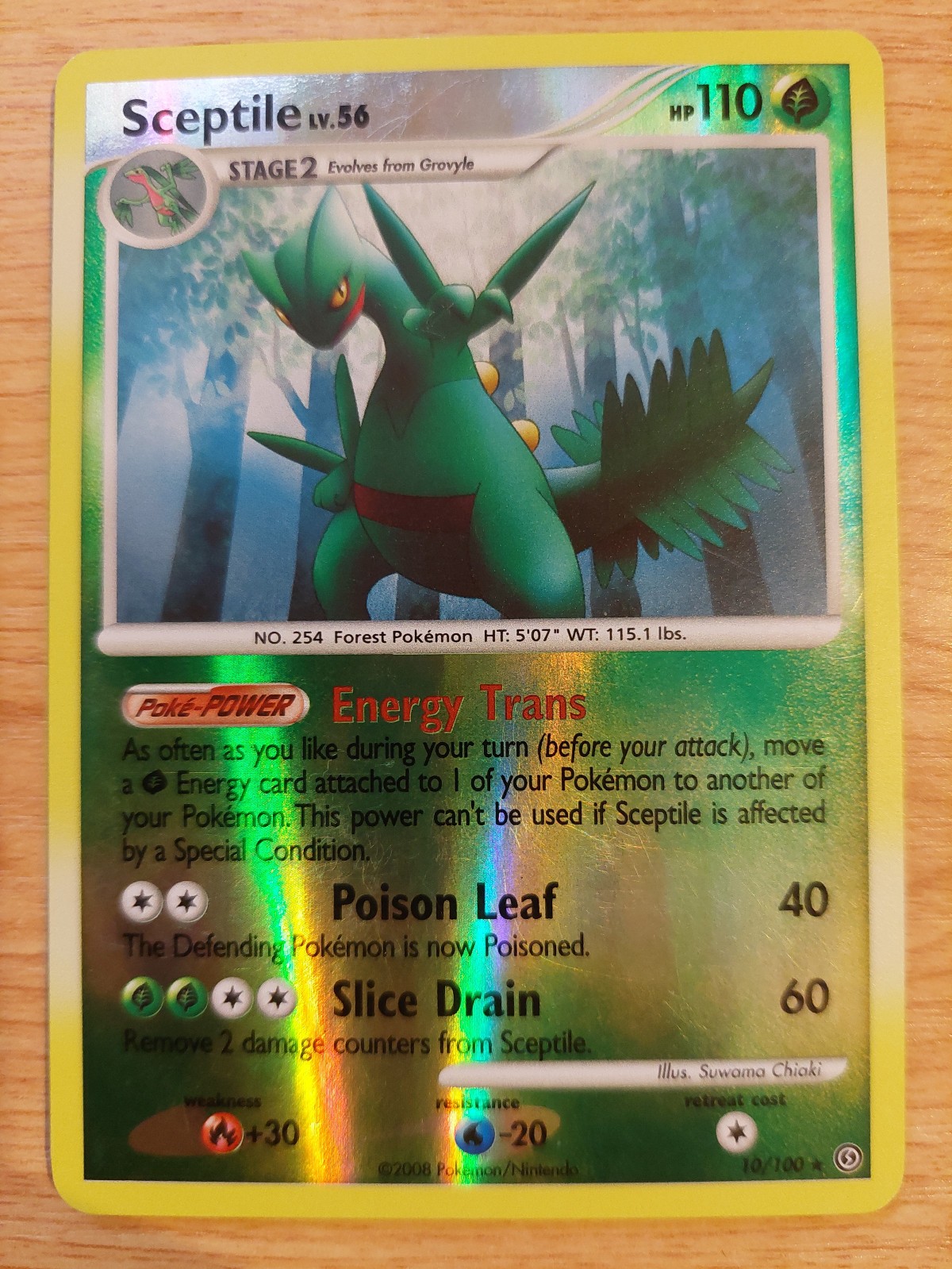 Sceptile - 10/100 (Stormfront) - Very Lightly Played VLP - Reverse Holo