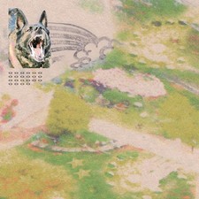 feeble little horse Girl with Fish Cassette 