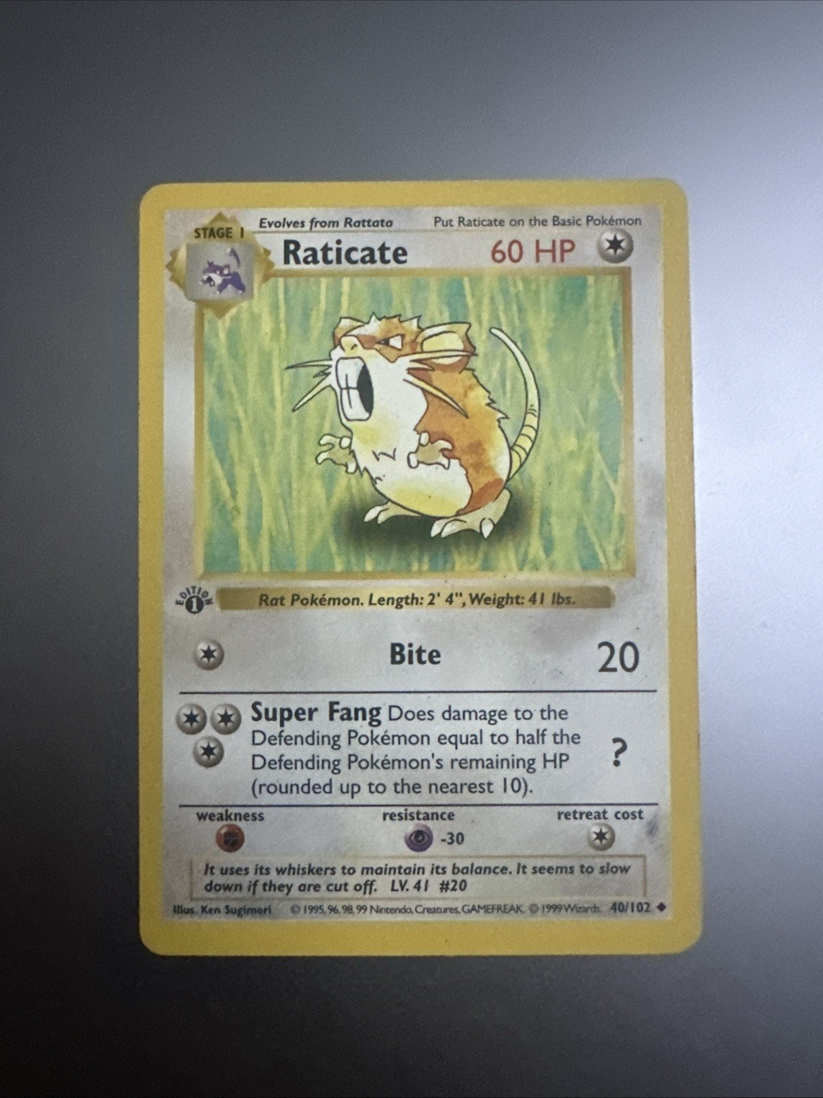 Shadowless, Raticate 40/102 Base Set 1st Edition Uncommon 1999 MP