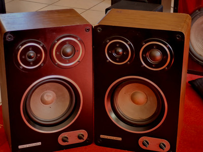 Lorenz Acoustics F1-100 MONITOR  VINTAGE und 2x PILOT HT 400 Hochtöner Ersatz