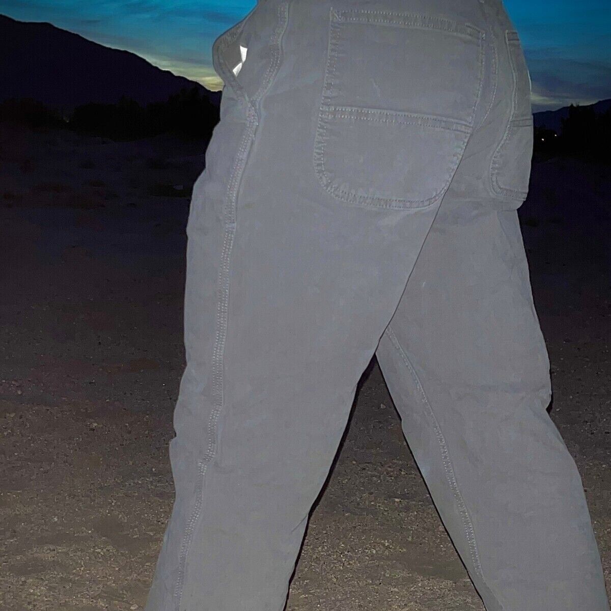 Grey Carhartt Pants eBay