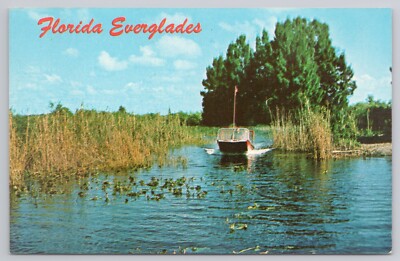 Postcard Florida Everglades Air Boat