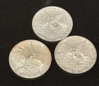 2024 Mexican Silver Libertad 1 oz — photo from another recent sale