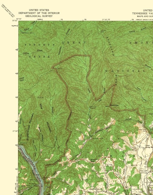 Topo Map Bryson City North Carolina Quad USGS 1935 23.00 x 29.19