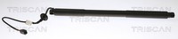 Heckklappen DäMpfer Gasfeder Kofferraum Triscan 8710 27302 FüR Volvo XC60 1 SUV