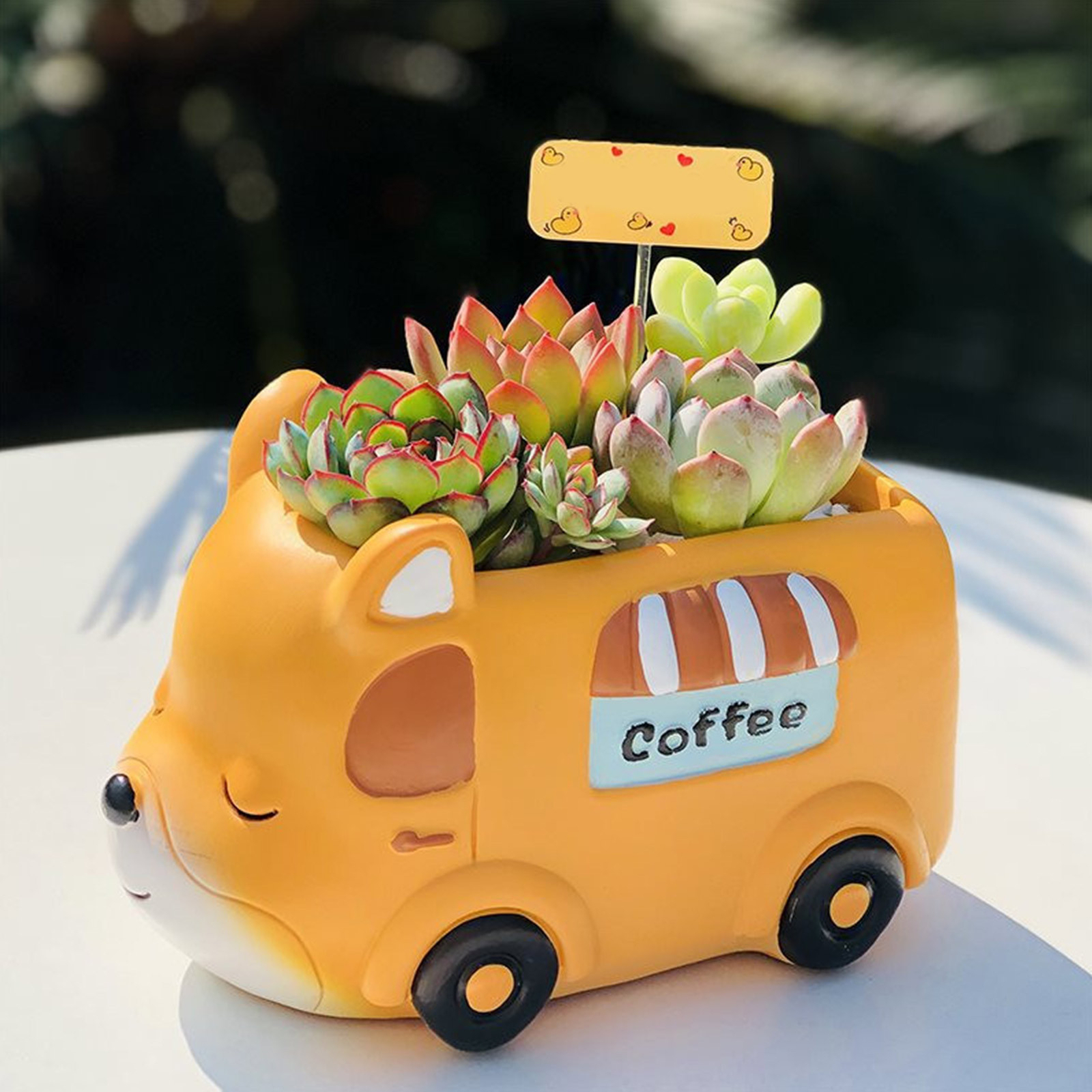 Car Flower Pot, Succulent Outdoor Plant Planter, 5 In Planter Pot With Drainag