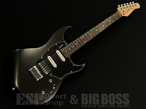 Godin Session HT RN / Matte Black #GG2qt