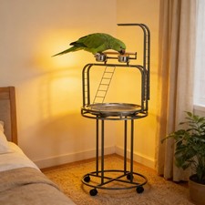 Large Wood Bird Stand Parrot Perch Playpen Gym Training Table w/ Bowls
