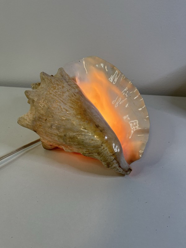 VTG Conch Shell Accent/ Lamp Works Nautical Decor