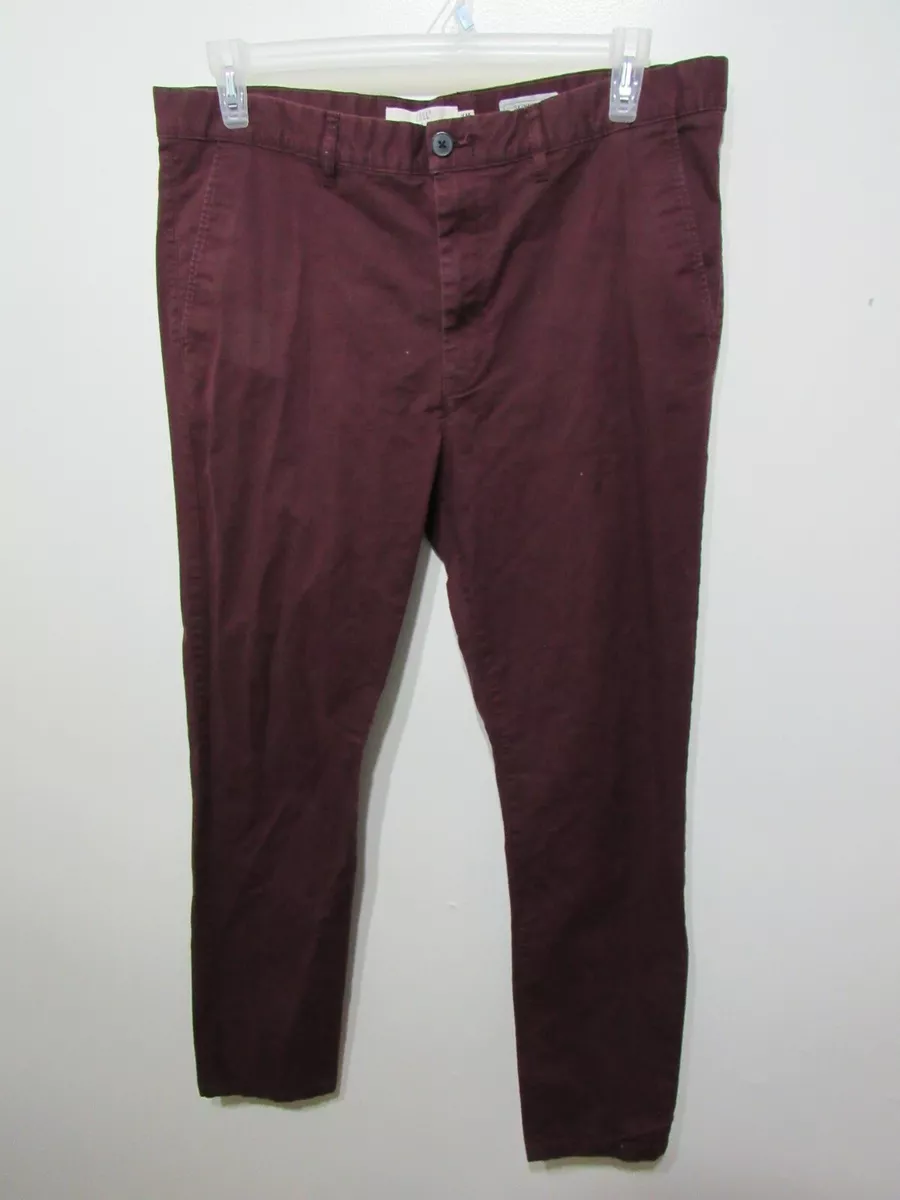H M LOGG Men Pants Size 38 Purple Flat Front Button Zipper