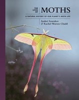 The Lives Of Moths | A Natural History Of Our Planet's Moth Life | Englisch