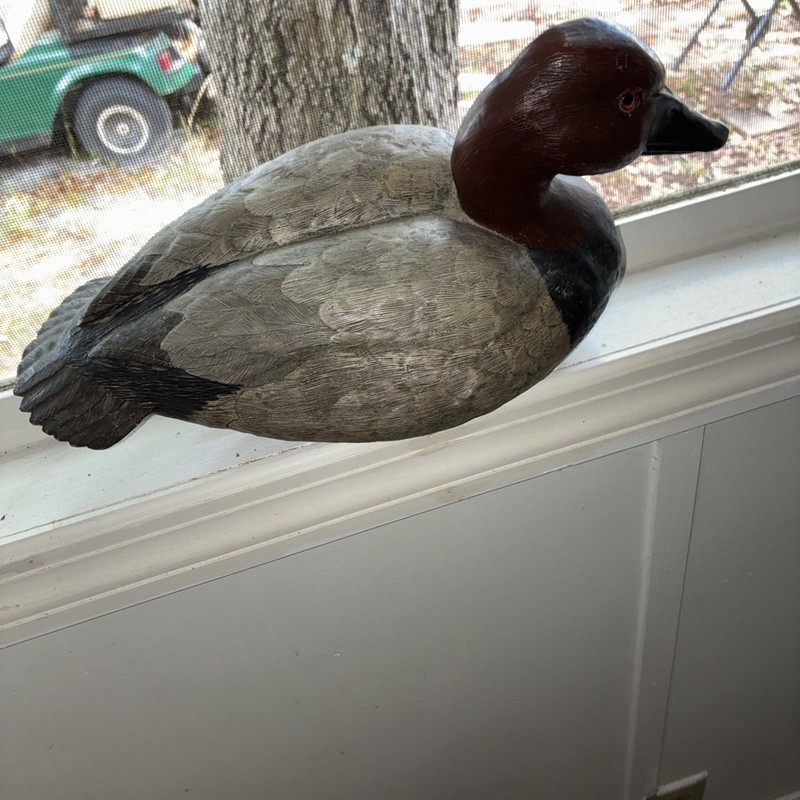 A Working Drake Canvasback . Glass Eyes, Standout Feather Details. Previous Bid.