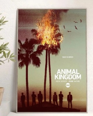 Animal Kingdom TNT TV Series June 14 Premiere Official Movie Poster