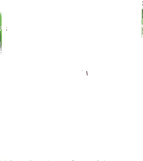 Patchwork Bordado hierro en parches para Costura