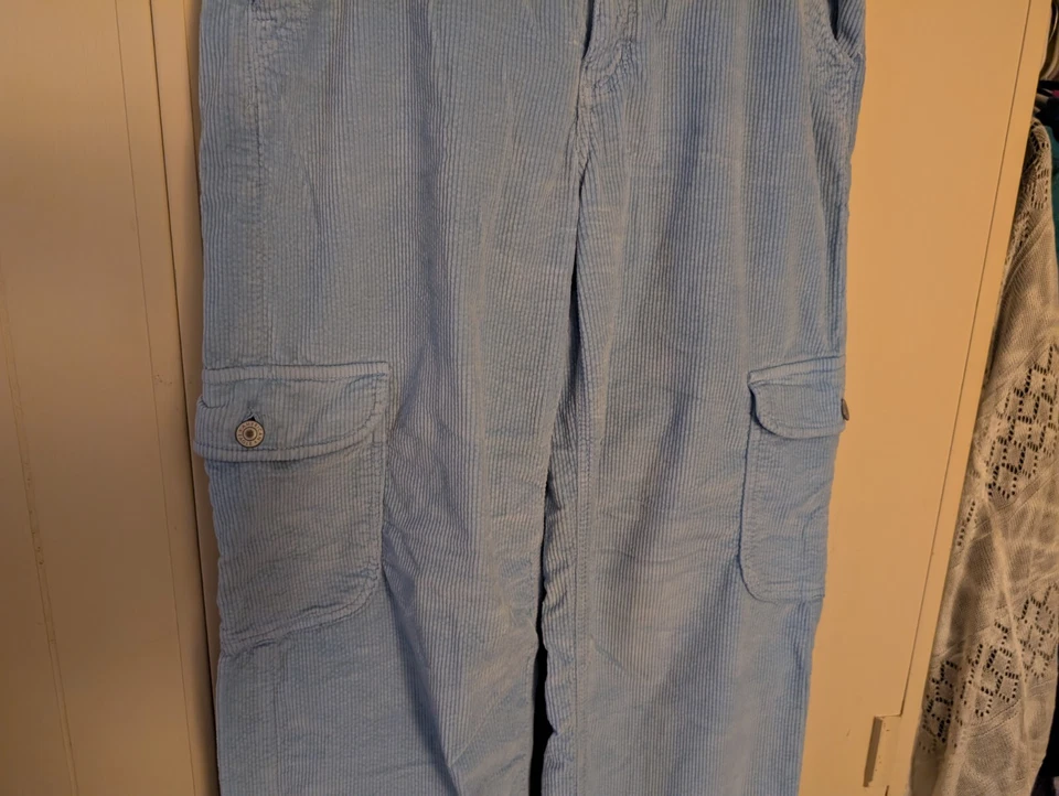 Женские вельветовые штаны-карго American Eagle Skater с высоким подъемом мешковатые широкие штанины размер 6  - Изображение 4 из 4