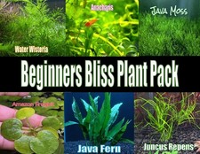Beginner's Bliss Plant Pack Live Aquatic Freshwater Plants for Tanks Aquarium