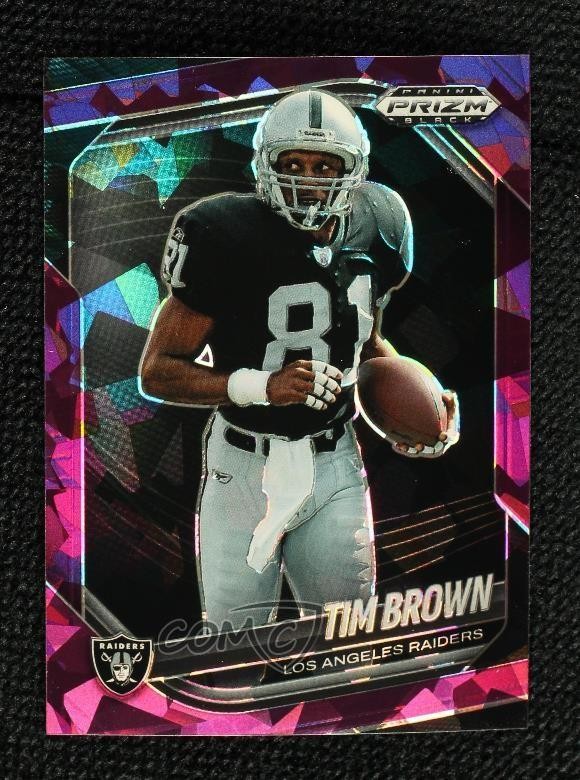 2025 Panini Prizm Black Purple Ice Prizm 90/149 Tim Brown #114 HOF 0xh3