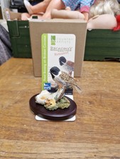 Country Artists Reed Bunting On Broken Coconut Figurine 05524 Broadway Birds