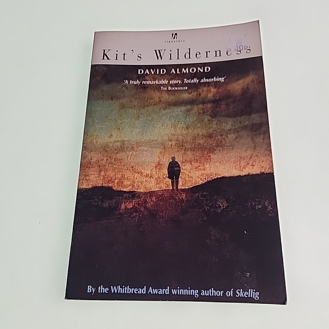 Kits Wilderness David Almond 1999 Paperback Book