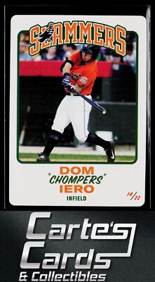 Dom Iero 2017 Cards Against Humanity Saves Baseball #14 Joliet Slammers