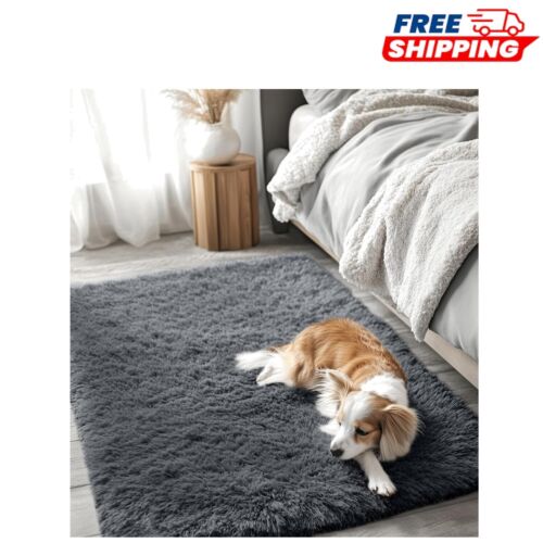 Cozy 2x3 Soft Fluffy Throw Rug - Machine Washable Grey for Elegant Home Decor