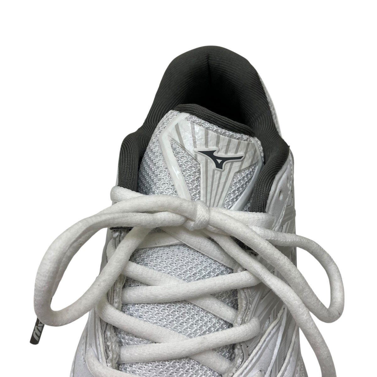 【MIZUNO /ミズノ】WAVE PROPHECY LS　D1GA333702 mizuno wave prophecy ls (white / silver / harbor mist) | a.plus